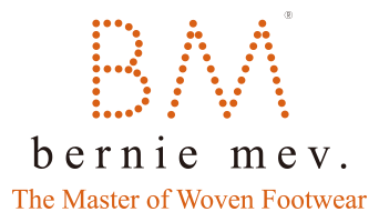 Bernie Mev Logo