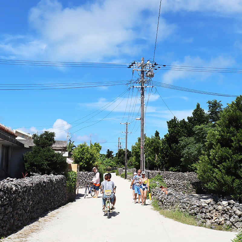 沖縄の八重山諸島、石垣島の離島、竹富島、観光、ツアー、水牛、星のや、民宿