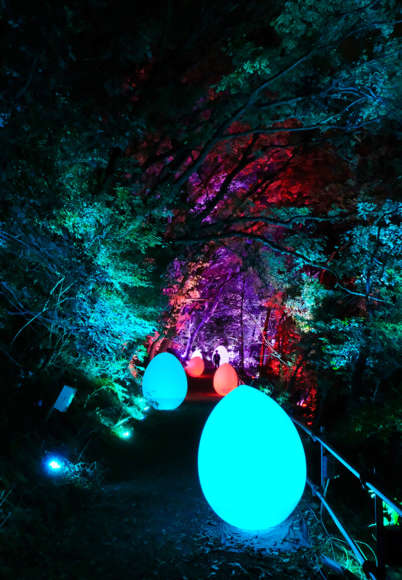 チームラボ 森と湖の光の祭 デジタルアート 飯能 メッツァビレッジ